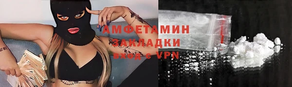 шишки Верхний Тагил